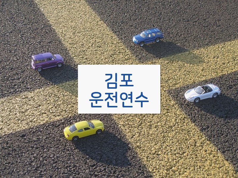 김포운전연수 후기