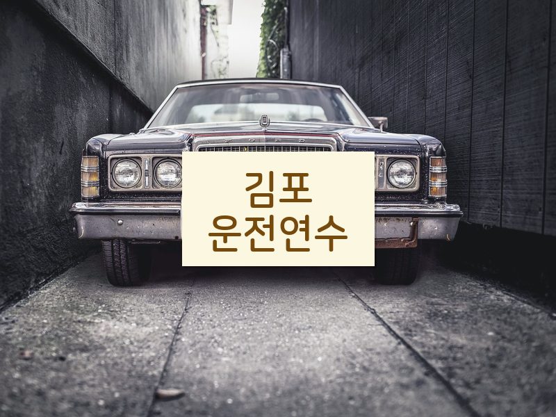 김포운전연수 후기