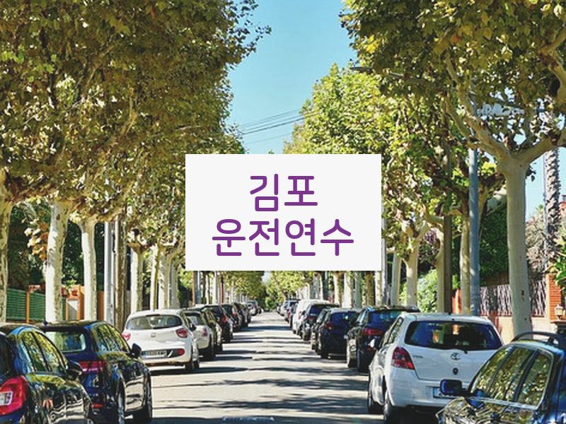 김포운전연수 후기