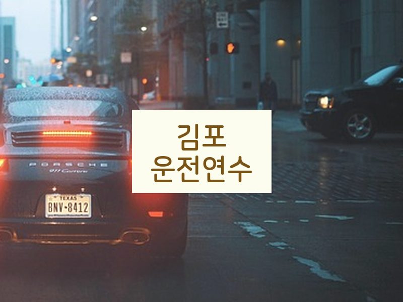 김포운전연수 후기