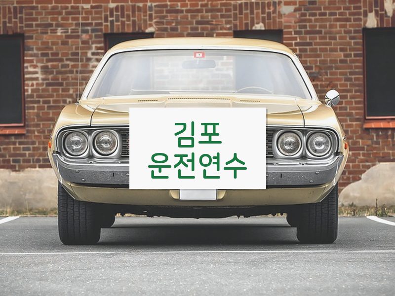 김포운전연수 후기