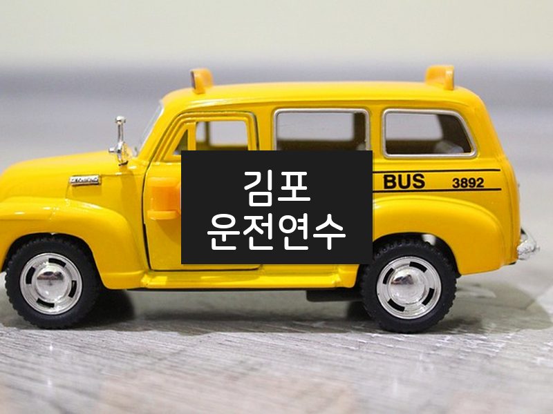 김포운전연수 후기