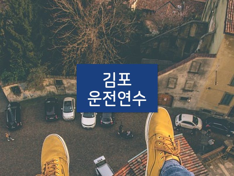 김포운전연수 후기