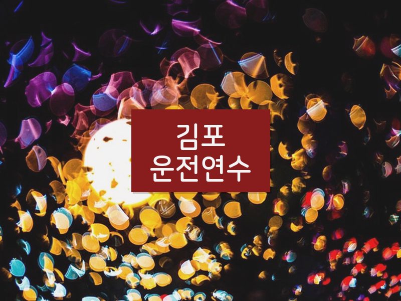 김포운전연수 후기