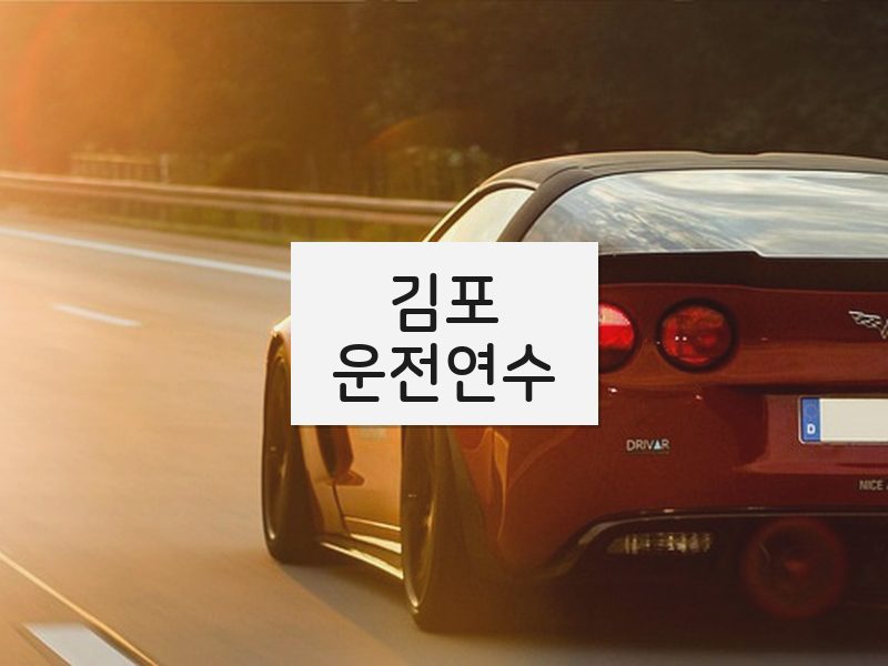 김포운전연수 후기