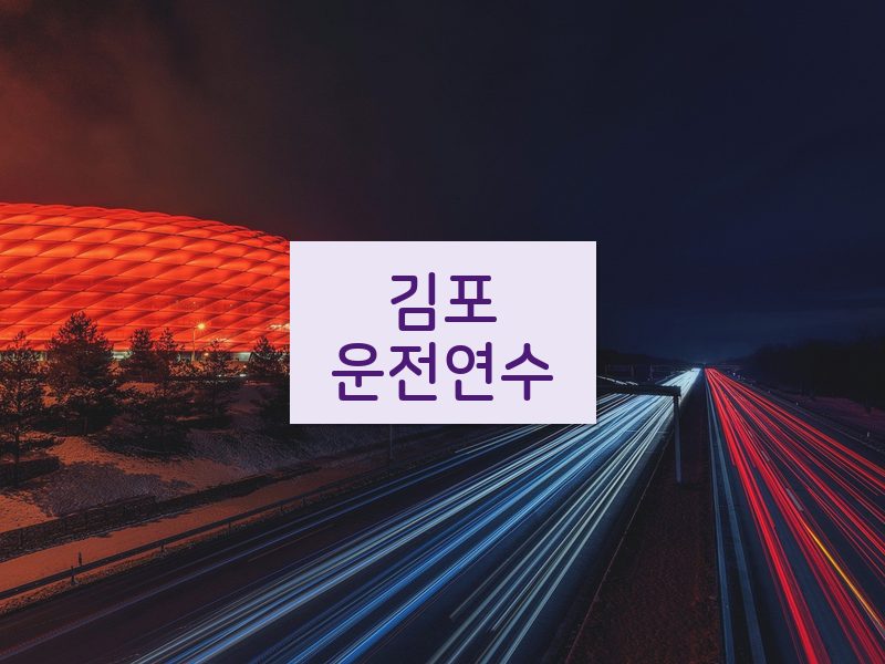 김포운전연수 후기