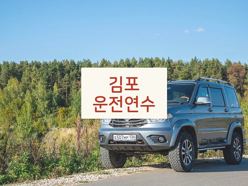 김포운전연수 후기
