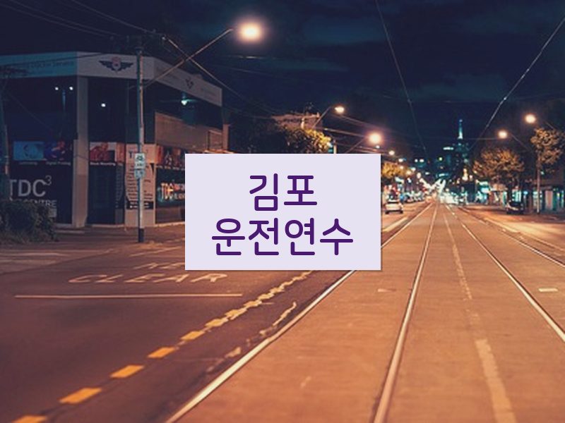 김포운전연수 후기