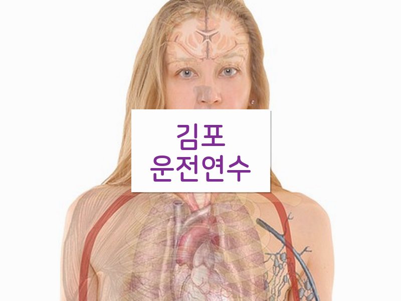 김포운전연수 후기