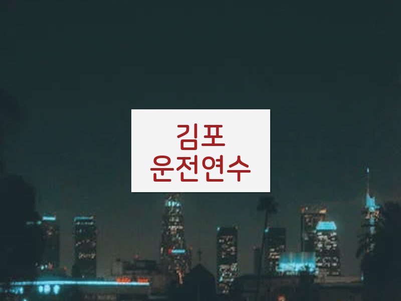 김포운전연수 후기