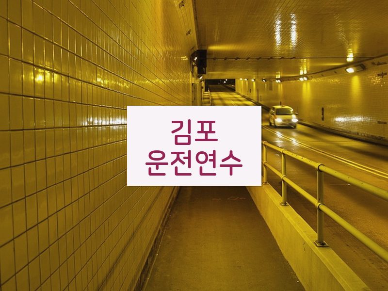 김포운전연수 후기