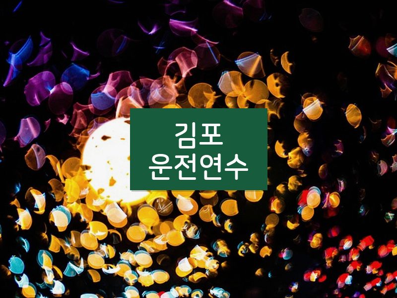 김포운전연수 후기