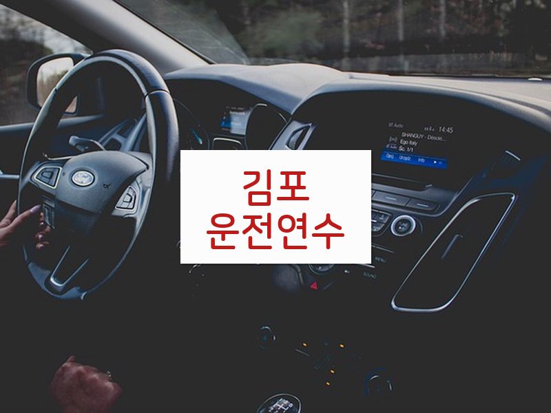 김포운전연수 후기