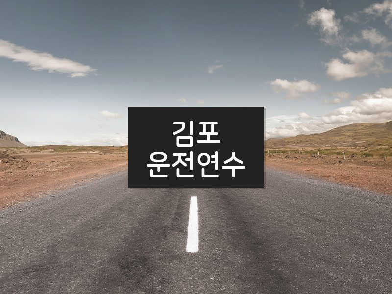 김포운전연수 후기
