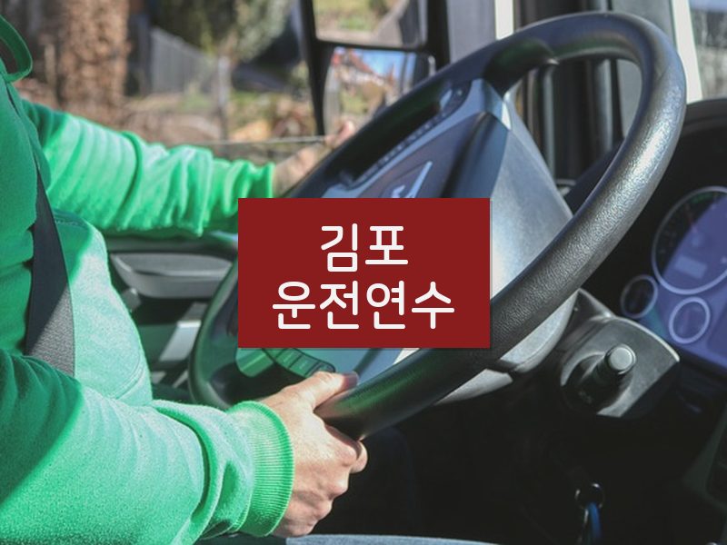 김포운전연수 후기