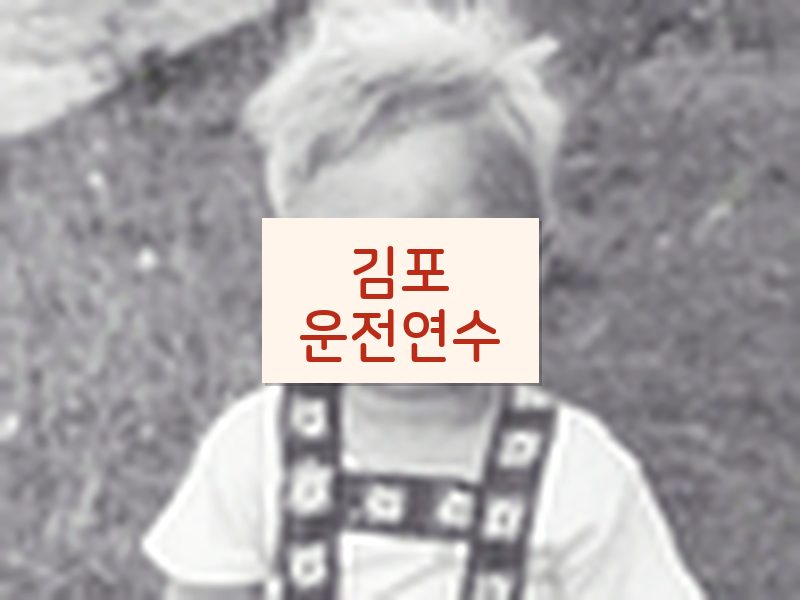 김포운전연수 후기