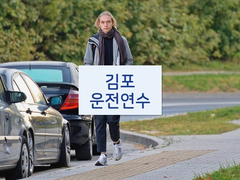 김포운전연수 후기