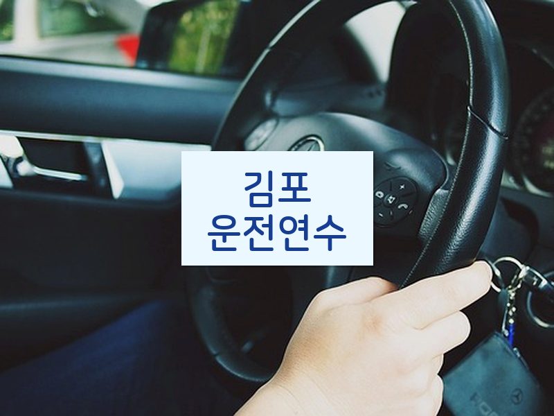 김포운전연수 후기