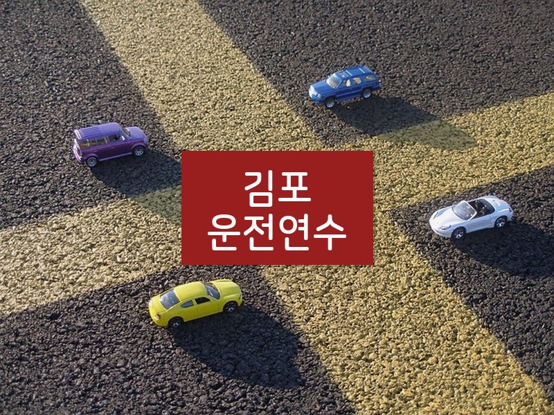 김포운전연수 후기
