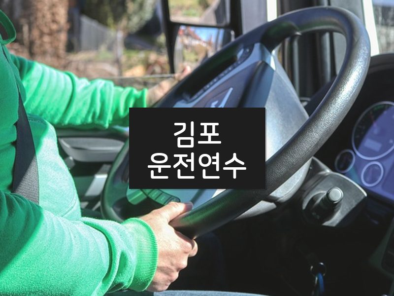 김포운전연수 후기