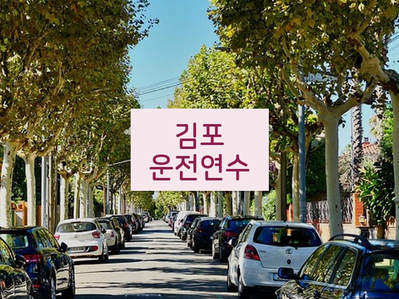 김포운전연수 후기