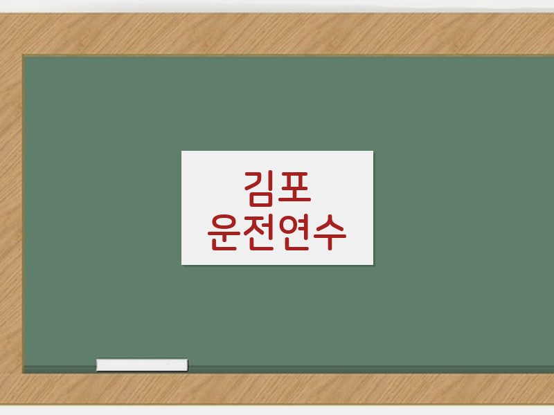 김포운전연수 후기