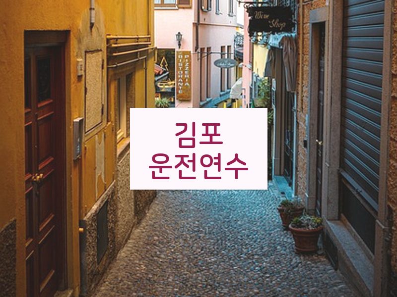 김포운전연수 후기