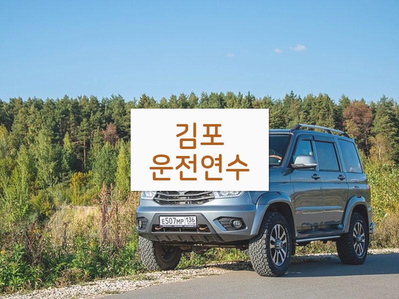 김포운전연수 후기