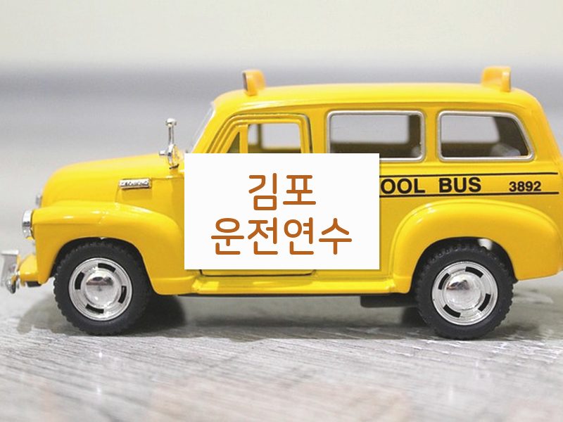 김포운전연수 후기