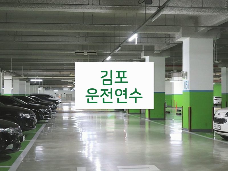 김포운전연수 후기