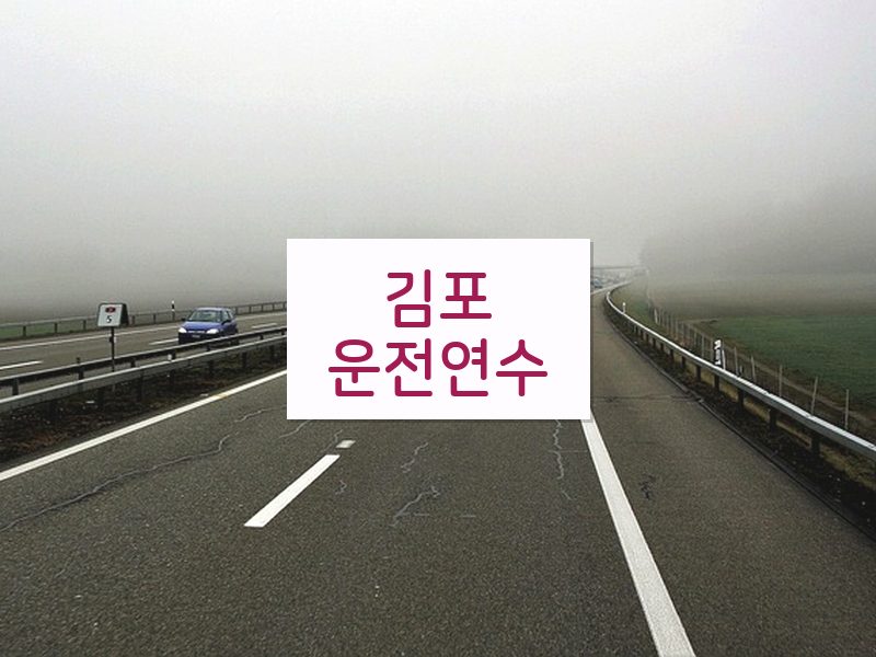 김포운전연수 후기