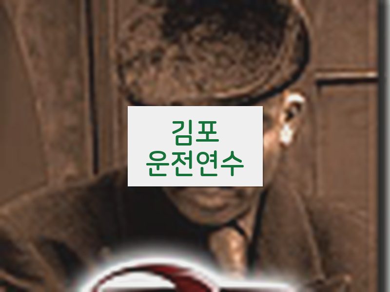 김포운전연수 후기