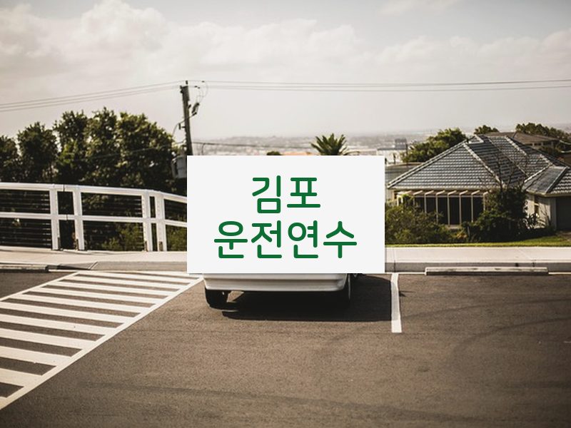 김포운전연수 후기