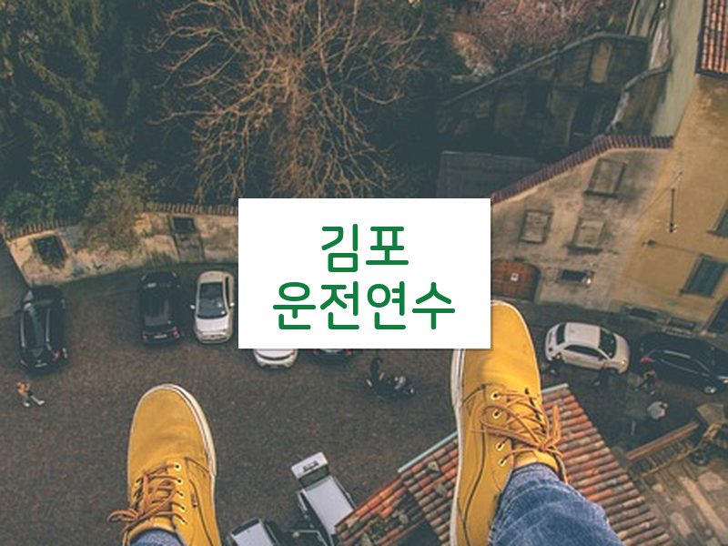 김포운전연수 후기