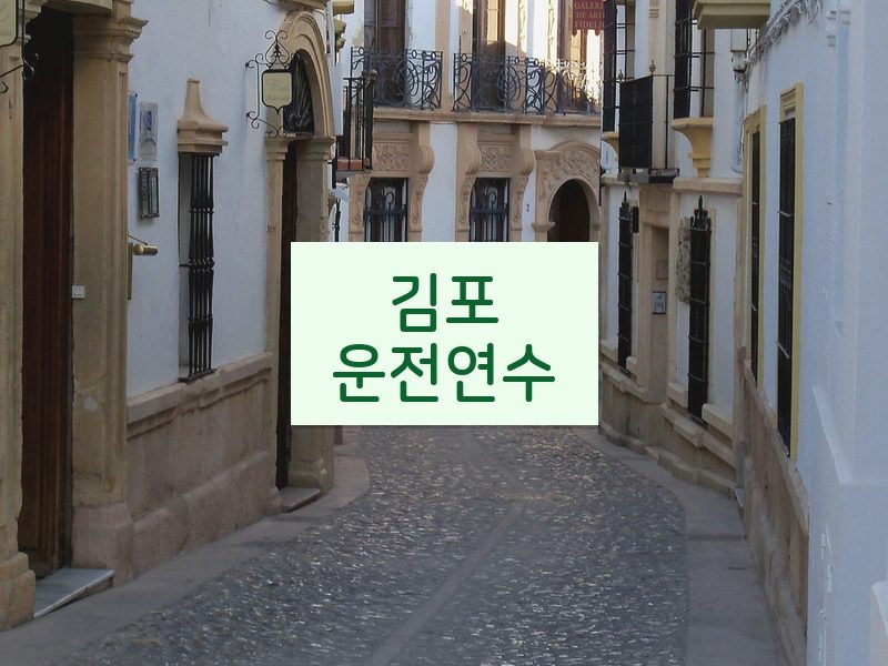 김포운전연수 후기