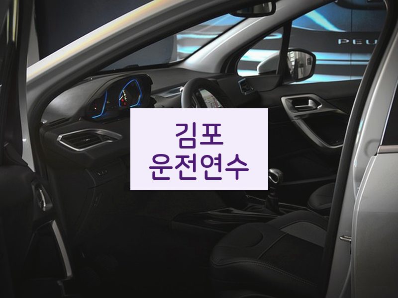 김포운전연수 후기