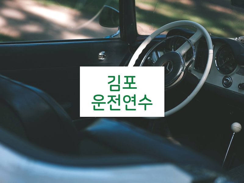 김포운전연수 후기