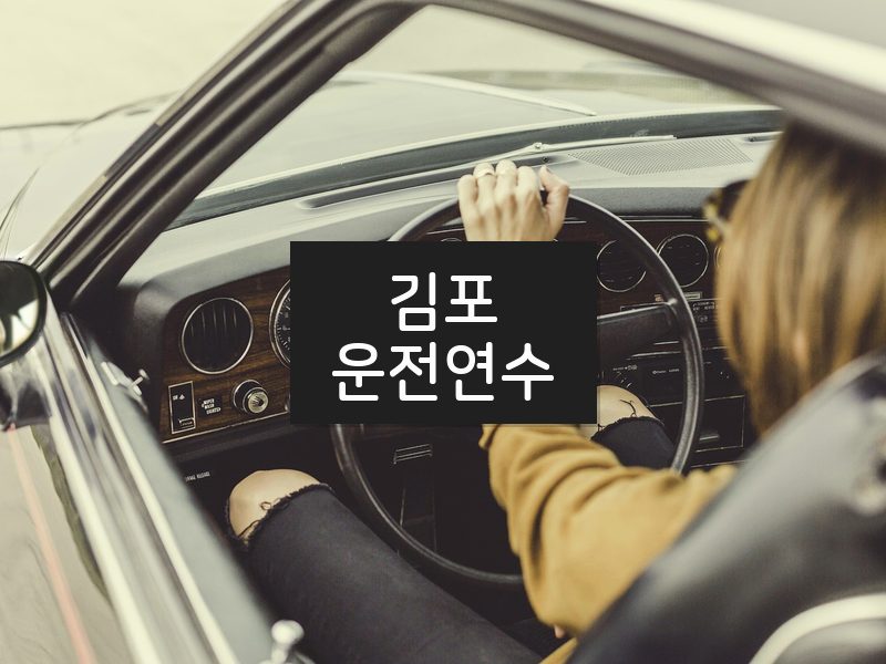 김포운전연수 후기