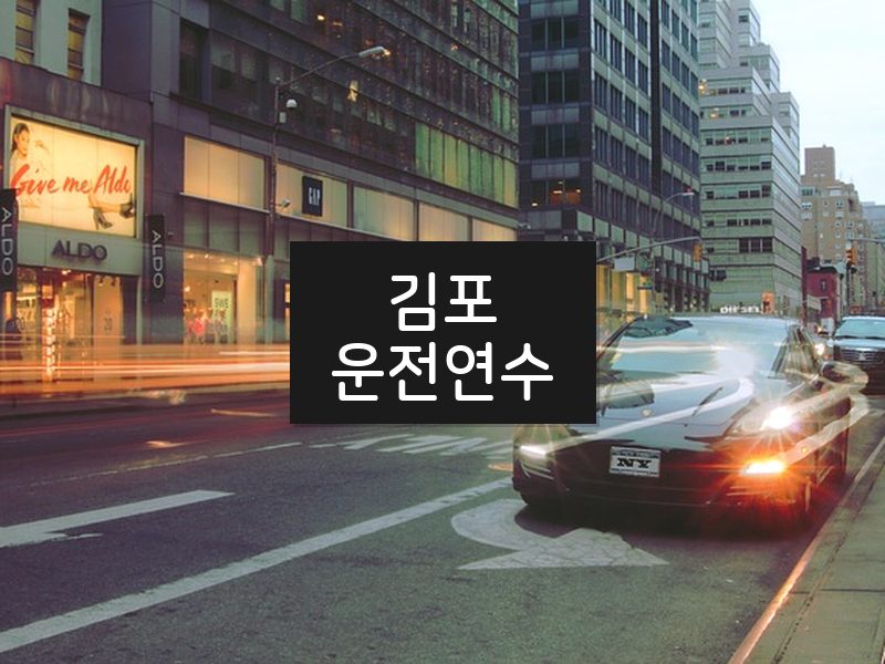 김포운전연수 후기