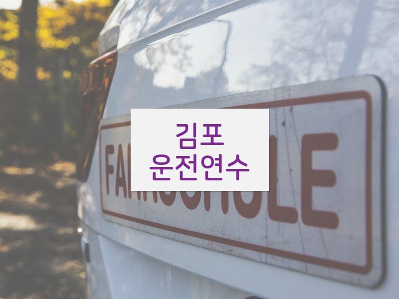 김포운전연수 후기