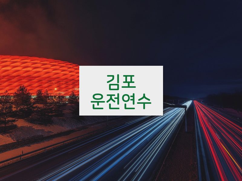 김포운전연수 후기