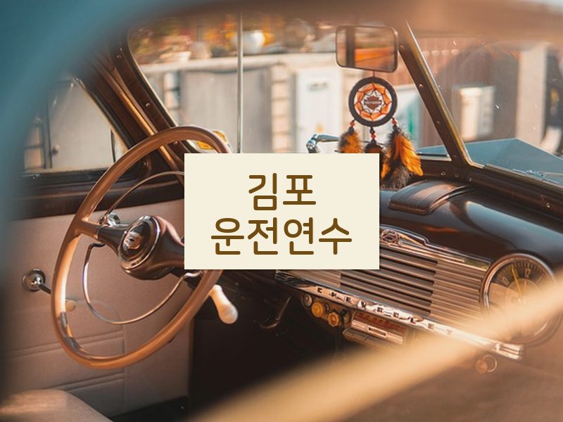 김포운전연수 후기