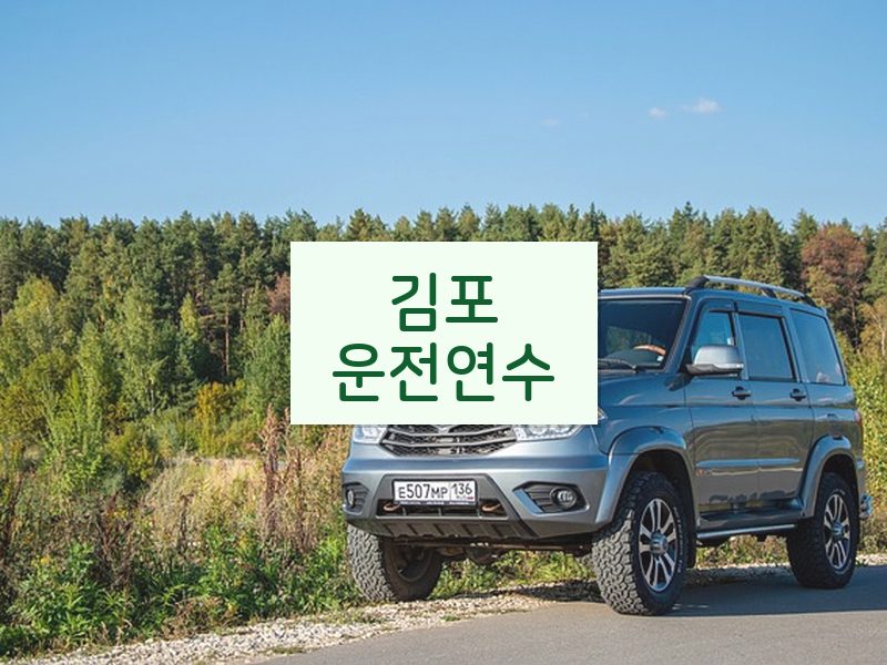 김포운전연수 후기