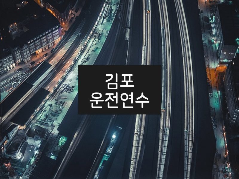 김포운전연수 후기