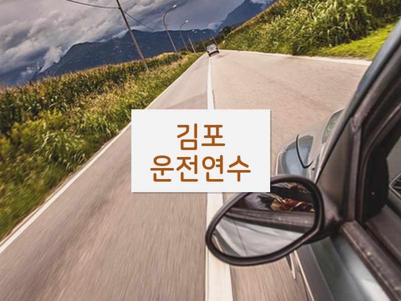 김포운전연수 후기