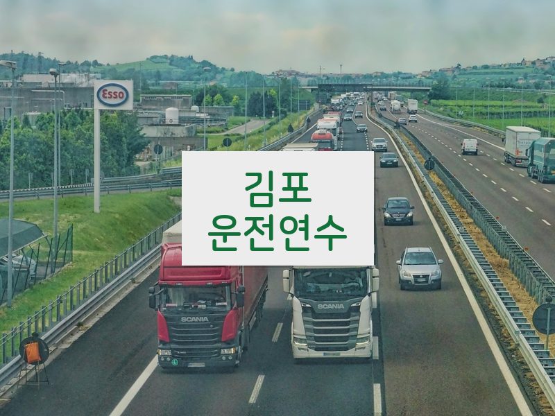 김포운전연수 후기