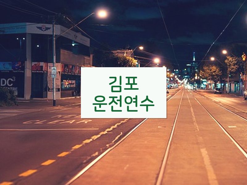 김포운전연수 후기