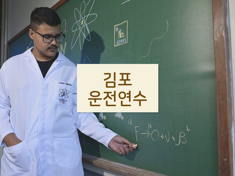 김포운전연수 후기
