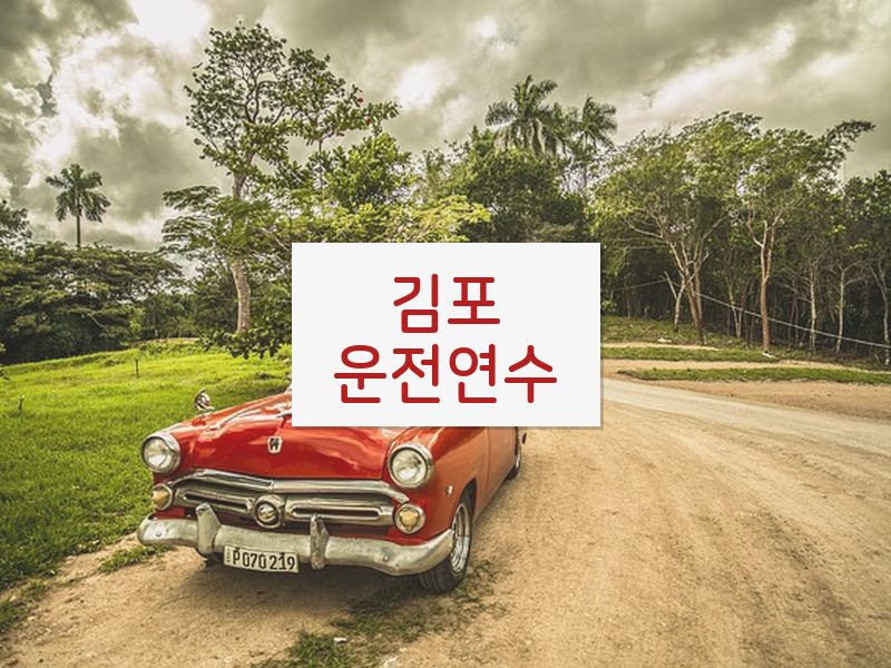 김포운전연수 후기