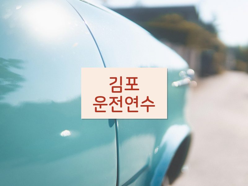 김포운전연수 후기